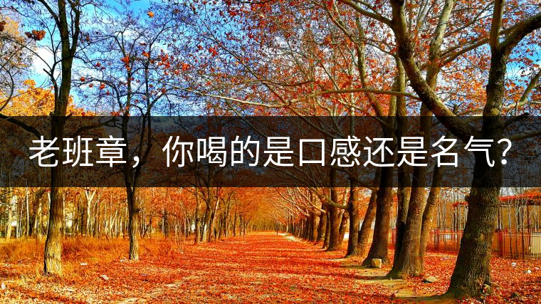 老班章，你喝的是口感還是名氣？