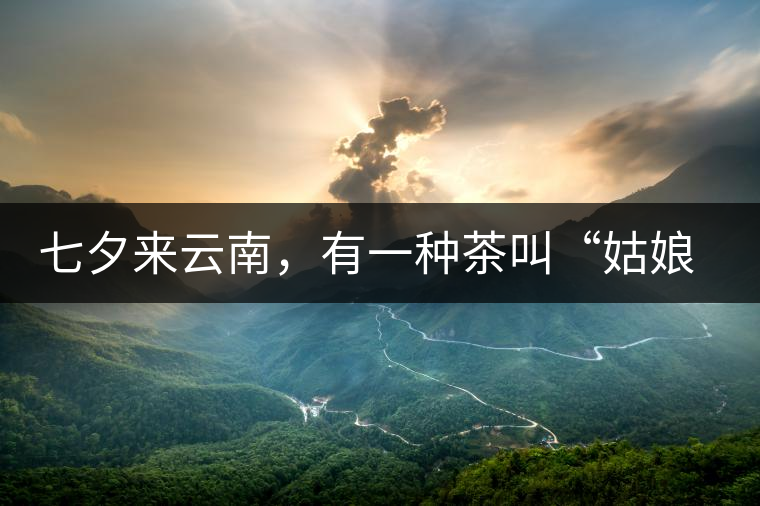 七夕來(lái)云南，有一種茶叫“姑娘茶”，也許你就能遇上