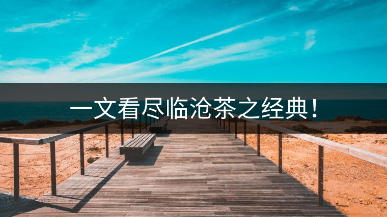 一文看盡臨滄茶之經典！