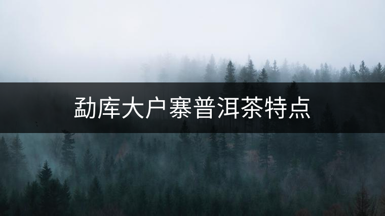 勐庫(kù)大戶寨普洱茶特點(diǎn) 勐庫(kù)大戶寨普洱茶特點(diǎn)