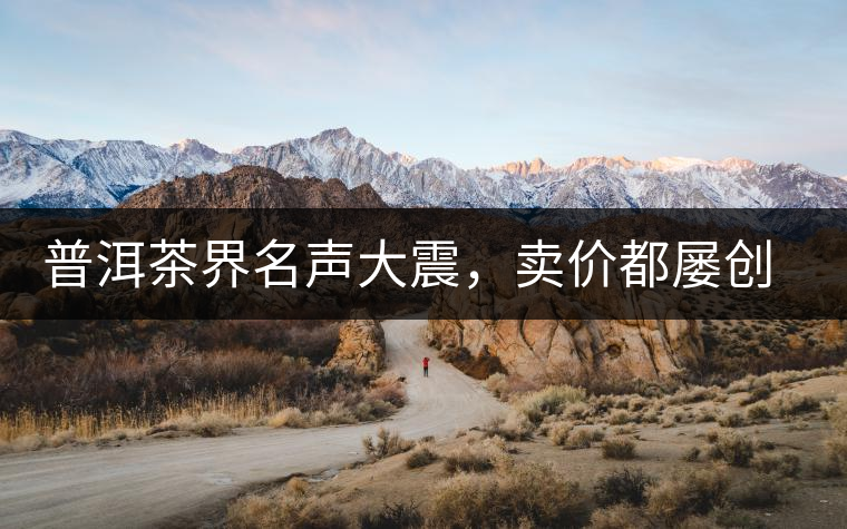 普洱茶界名聲大震，賣價(jià)都屢創(chuàng)新高竟然是它