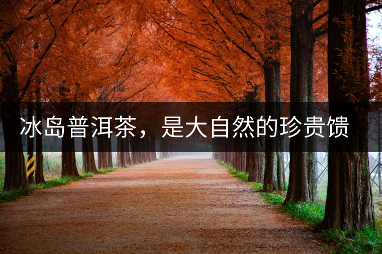 冰島普洱茶，是大自然的珍貴饋贈