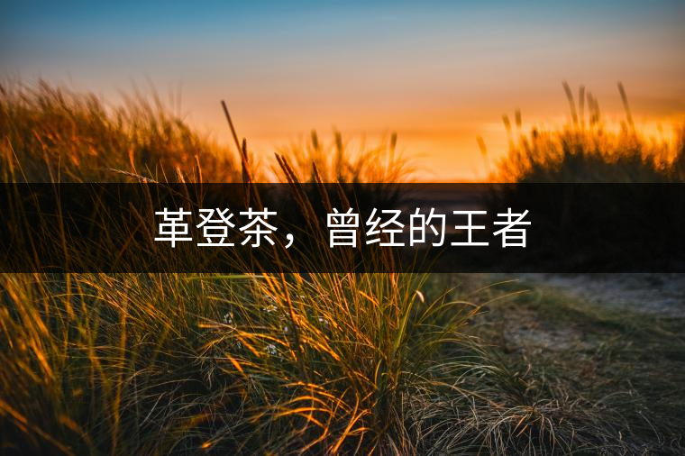 革登茶，曾經(jīng)的王者