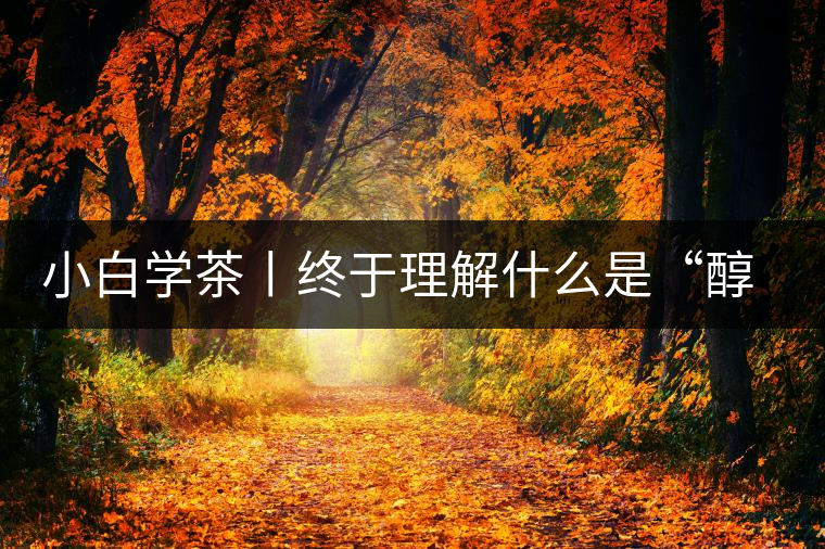 小白學(xué)茶丨終于理解什么是“醇厚、耐泡，回甘”了