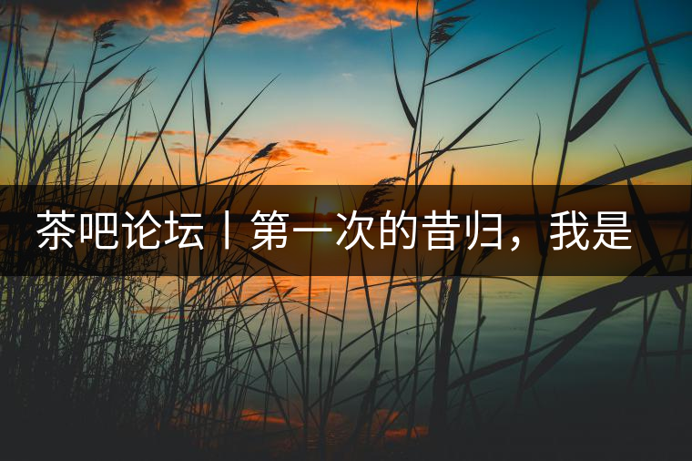 茶吧論壇丨第一次的昔歸，我是這樣喝到的