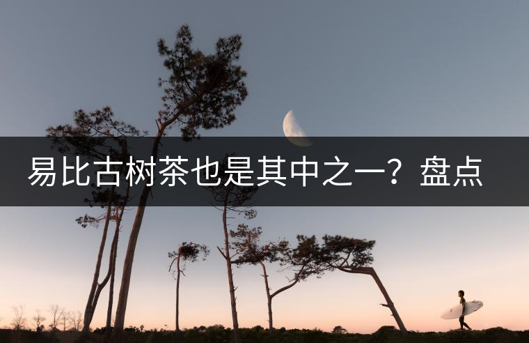 易比古樹茶也是其中之一？盤點(diǎn)當(dāng)下易武最火的十大古樹茶！