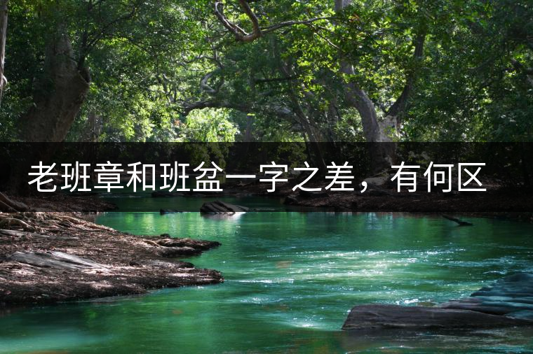 老班章和班盆一字之差，有何區(qū)別