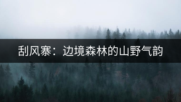 刮風(fēng)寨：邊境森林的山野氣韻