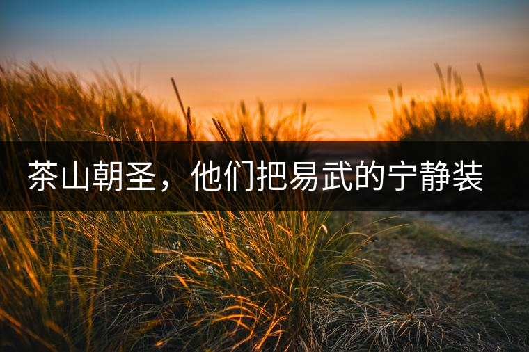 茶山朝圣，他們把易武的寧靜裝進心里，卻把成堆垃圾留在