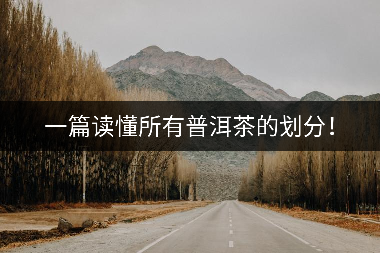 一篇讀懂所有普洱茶的劃分！