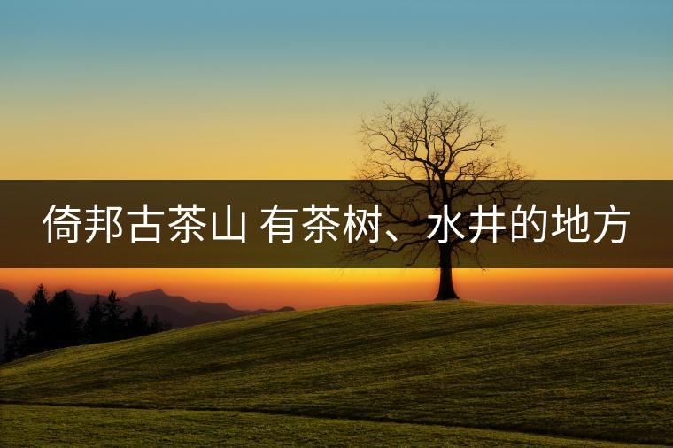 倚邦古茶山 有茶樹、水井的地方
