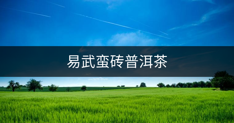 易武蠻磚普洱茶 易武蠻磚普洱茶