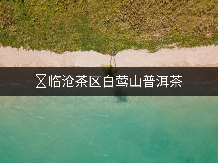 ?臨滄茶區(qū)白鶯山普洱茶