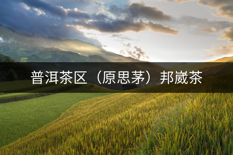 普洱茶區(qū)(原思茅)邦崴茶 普洱茶區(qū)(原思茅)邦崴茶