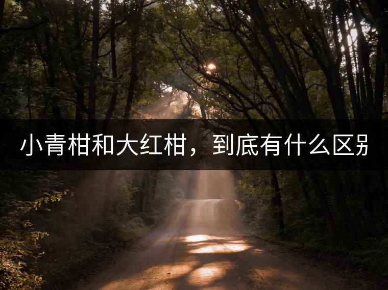 小青柑和大紅柑，到底有什么區(qū)別？