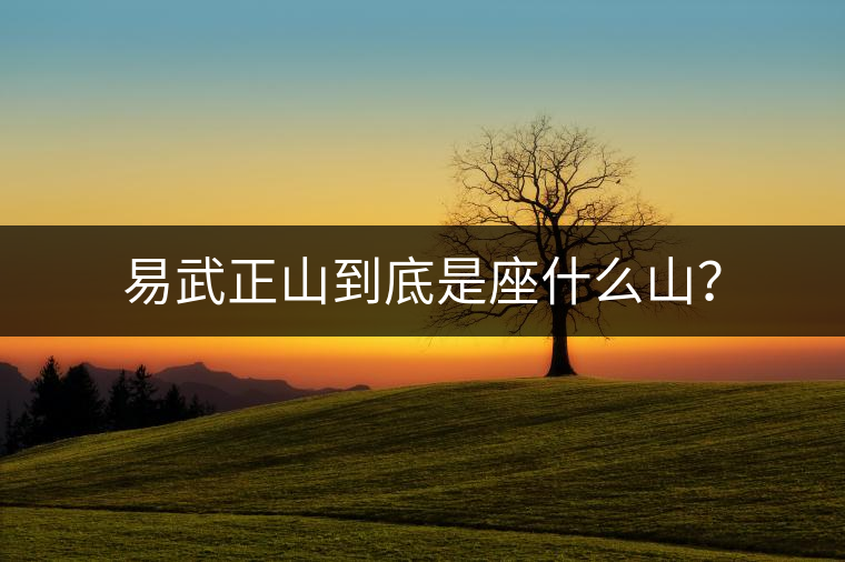 易武正山到底是座什么山？