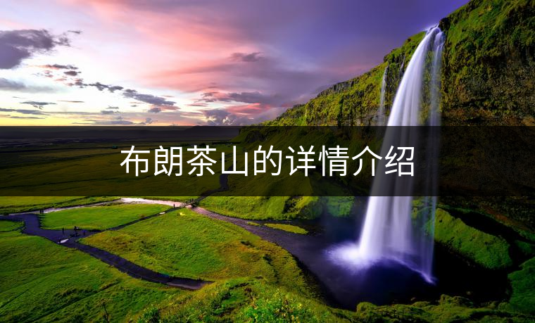 布朗茶山的詳情介紹 布朗茶山的詳情介紹