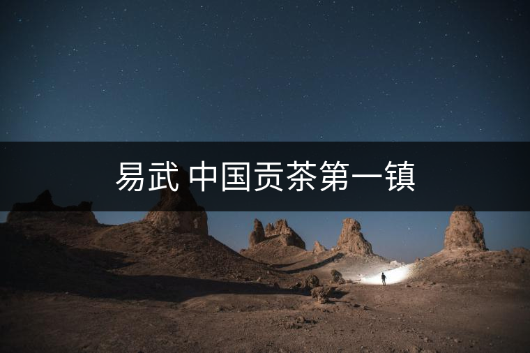 易武 中國貢茶第一鎮(zhèn)