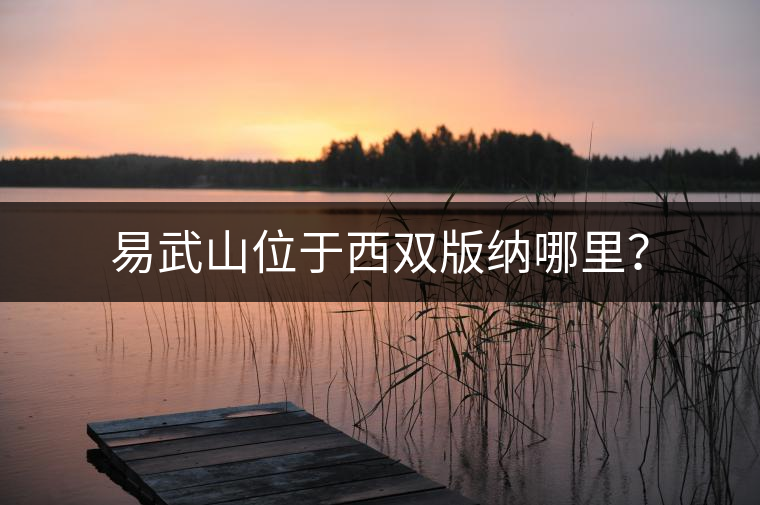 易武山位于西雙版納哪里？