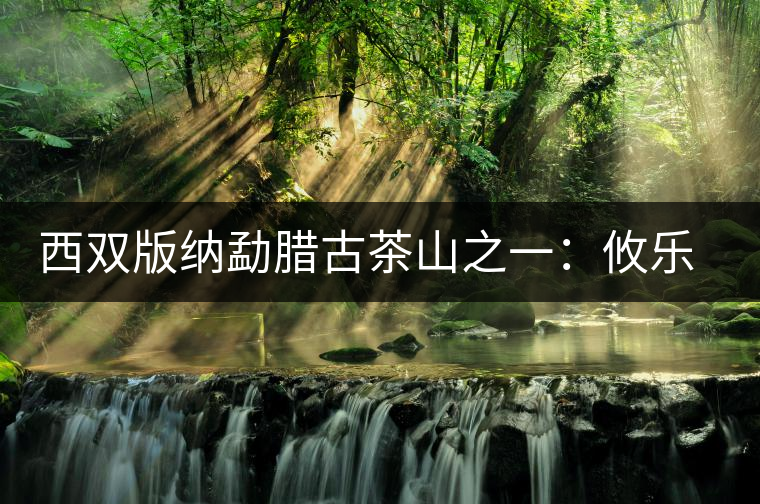 西雙版納勐臘古茶山之一:攸樂茶山 西雙版納勐臘古茶山之一:攸樂茶山