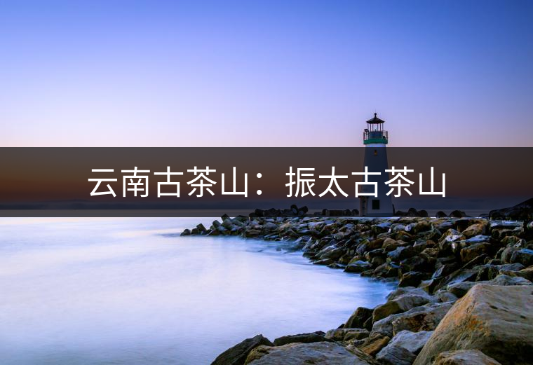 云南古茶山:振太古茶山 云南古茶山:振太古茶山