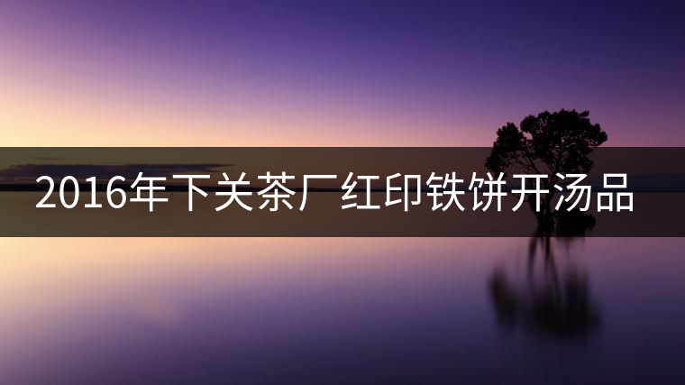 2016年下關(guān)茶廠紅印鐵餅開(kāi)湯品鑒