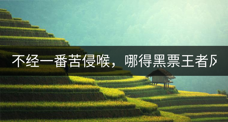 不經(jīng)一番苦侵喉，哪得黑票王者風！