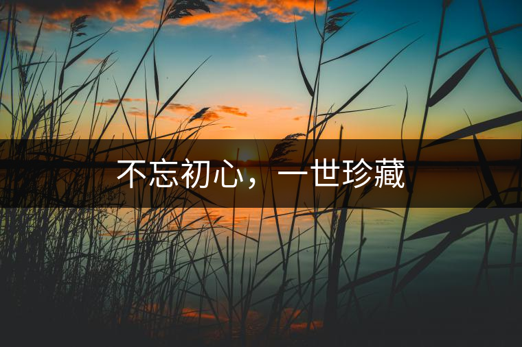 不忘初心，一世珍藏