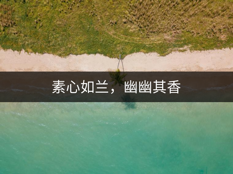 素心如蘭，幽幽其香