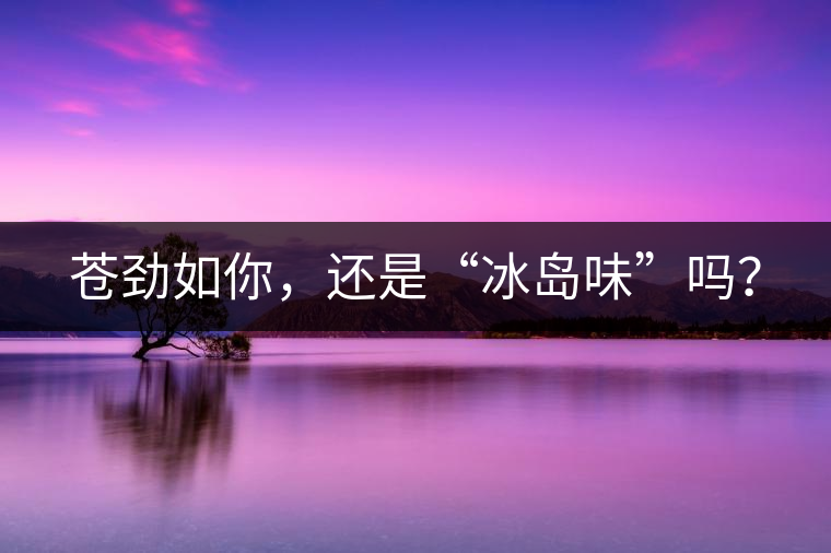 蒼勁如你，還是“冰島味”嗎？