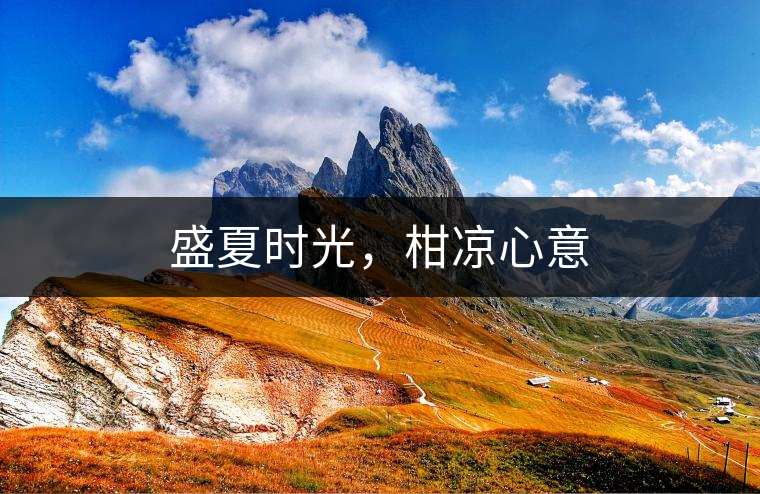 盛夏時(shí)光，柑涼心意