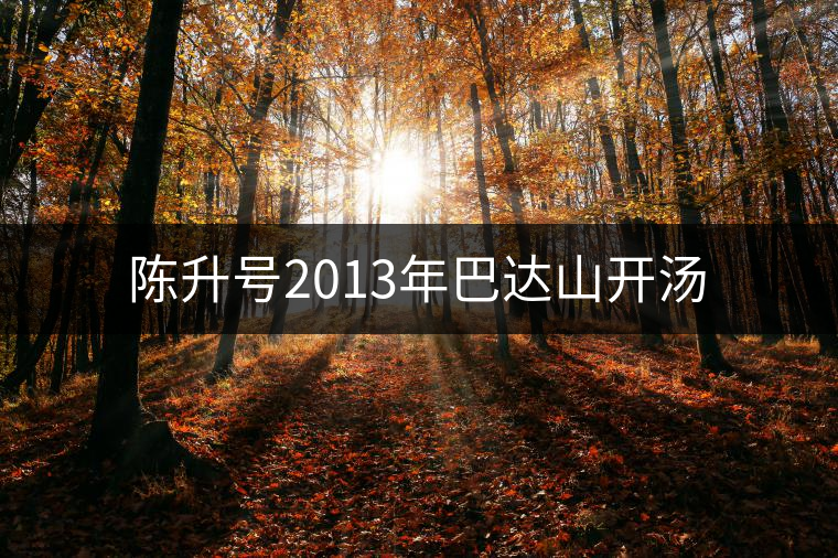 陳升號(hào)2013年巴達(dá)山開湯 陳升號(hào)2013年巴達(dá)山開湯