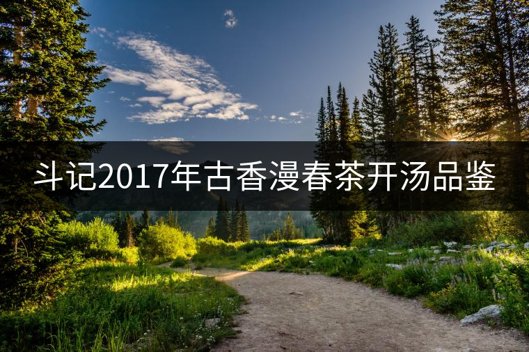 斗記2017年古香漫春茶開湯品鑒 斗記2017年古香漫春茶開湯品鑒