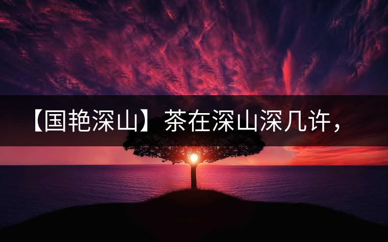 【國艷深山】茶在深山深幾許，布朗味釅釅幾分！