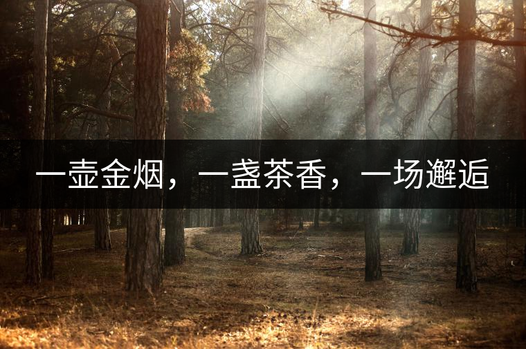 一壺金煙，一盞茶香，一場(chǎng)邂逅
