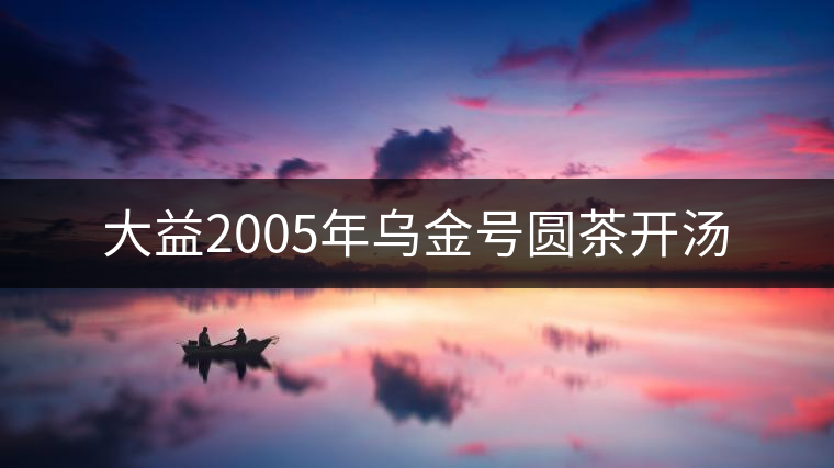 大益2005年烏金號圓茶開湯 大益2005年烏金號圓茶開湯