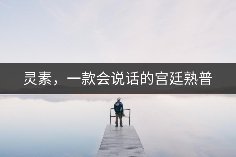 靈素，一款會(huì)說(shuō)話的宮廷熟普