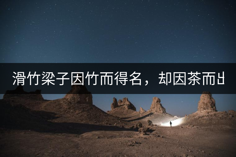 滑竹梁子因竹而得名，卻因茶而出名。