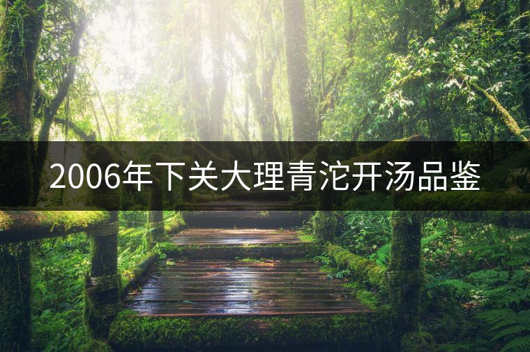 2006年下關(guān)大理青沱開(kāi)湯品鑒 2006年下關(guān)大理青沱開(kāi)湯品鑒