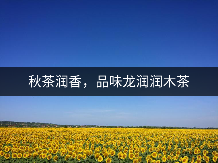 秋茶潤(rùn)香，品味龍潤(rùn)潤(rùn)木茶