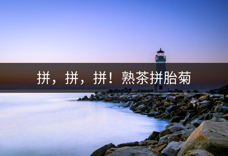 拼，拼，拼！熟茶拼胎菊