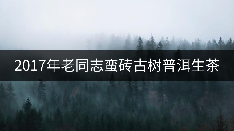 2017年老同志蠻磚古樹普洱生茶