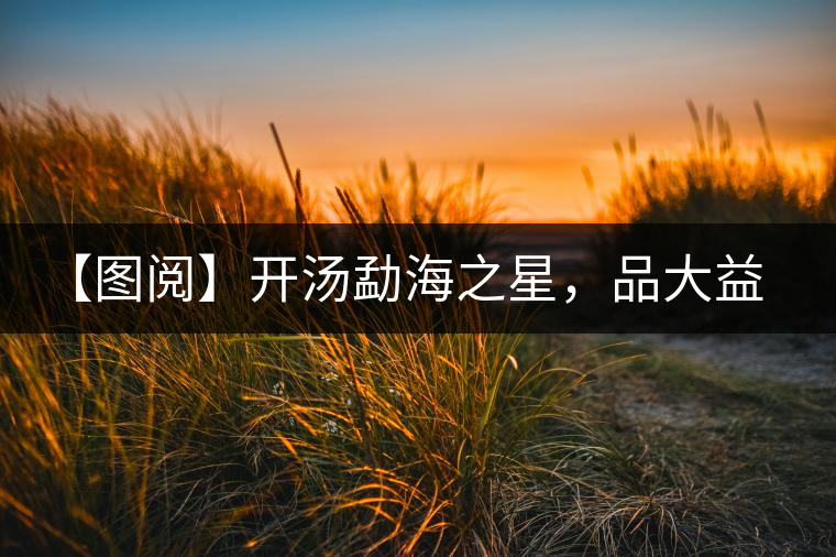 【圖閱】開湯勐海之星，品大益熟茶滋味