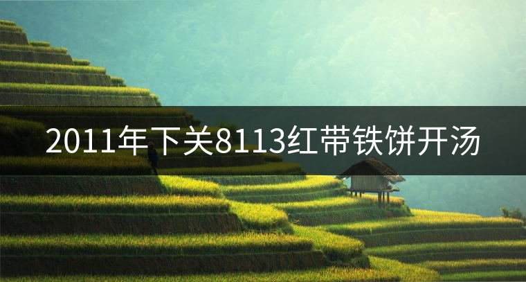 2011年下關(guān)8113紅帶鐵餅開(kāi)湯 2011年下關(guān)8113紅帶鐵餅開(kāi)湯