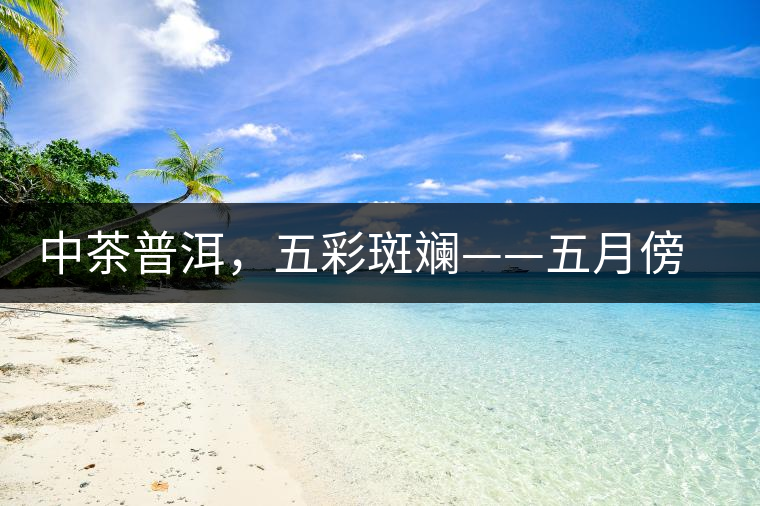 中茶普洱，五彩斑斕——五月傍晚，一道茶