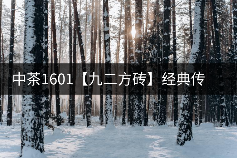 中茶1601【九二方磚】經(jīng)典傳承，巔峰即現(xiàn)