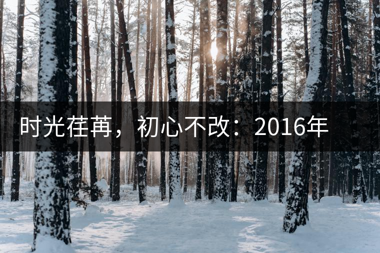 時光荏苒，初心不改：2016年老同志為天下人做好茶開湯