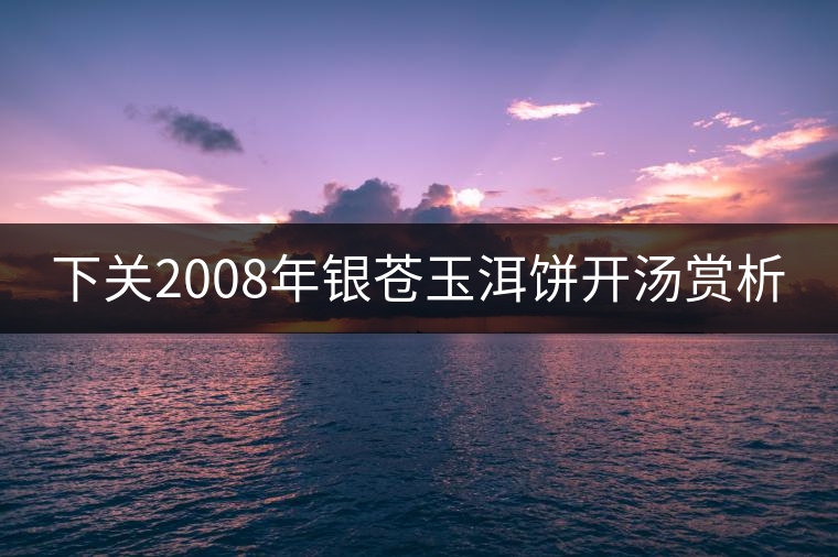 下關2008年銀蒼玉洱餅開湯賞析 下關2008年銀蒼玉洱餅開湯賞析