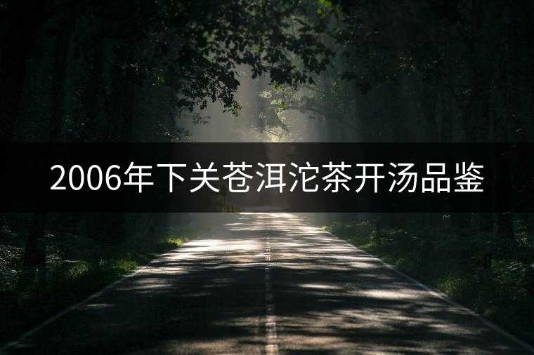 2006年下關(guān)蒼洱沱茶開湯品鑒 2006年下關(guān)蒼洱沱茶開湯品鑒
