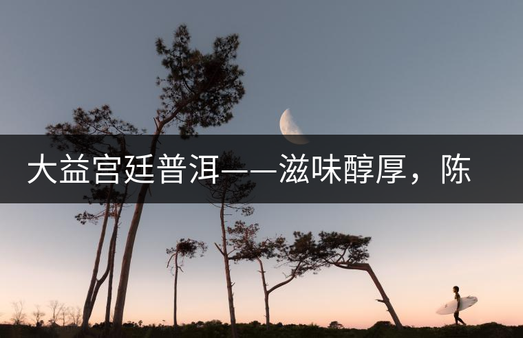 大益宮廷普洱——滋味醇厚，陳香濃郁